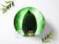 Preview: Angry Birds Tortenaufleger Ø 20cm, 0379w